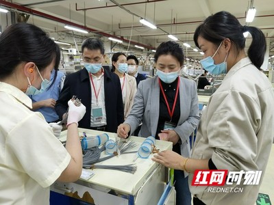 湘西高新區(qū)招商小分隊赴長三角和珠三角開展密集考察招商咨詢服務(wù)