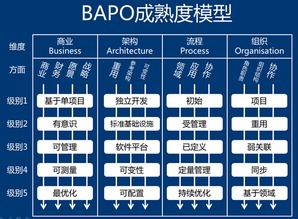 軟件產(chǎn)品線工程 大規(guī)模產(chǎn)品開發(fā)的高效之路